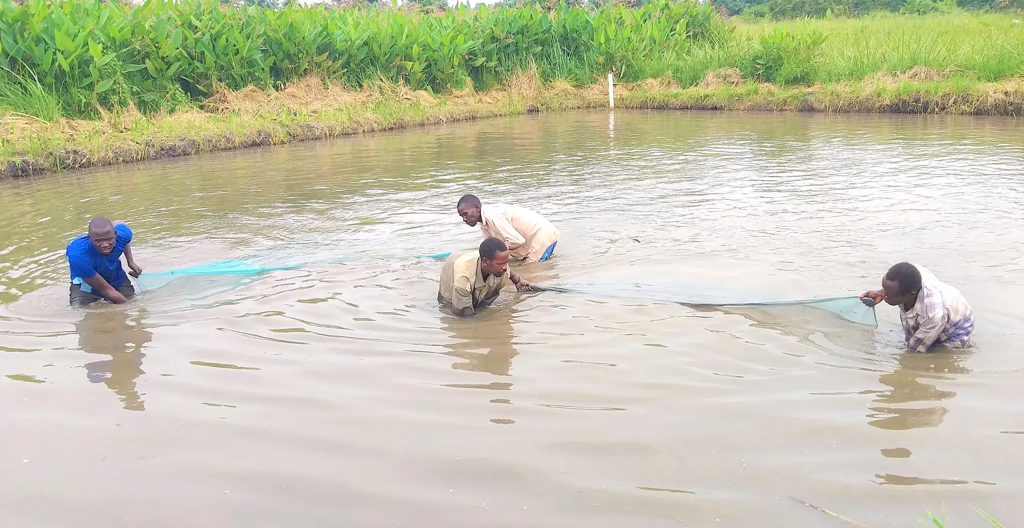 Fisheries training
